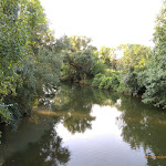 Photo n°11 de l'avis de Uschi.e fait le 26/08/2018 à 17:27 sur le  Zum Gänschwirt à Lauda-Königshofen