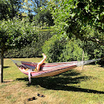 Photo n° 4 de l'avis de Peter.p fait le 22/06/2020 à 19:06 pour Charmilles des Cordeliers à Noisy-le-Roi