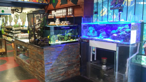 Tropical Fish Store «Aquarium Depot», reviews and photos, 8201 Auburn Blvd, Citrus Heights, CA 95610, USA