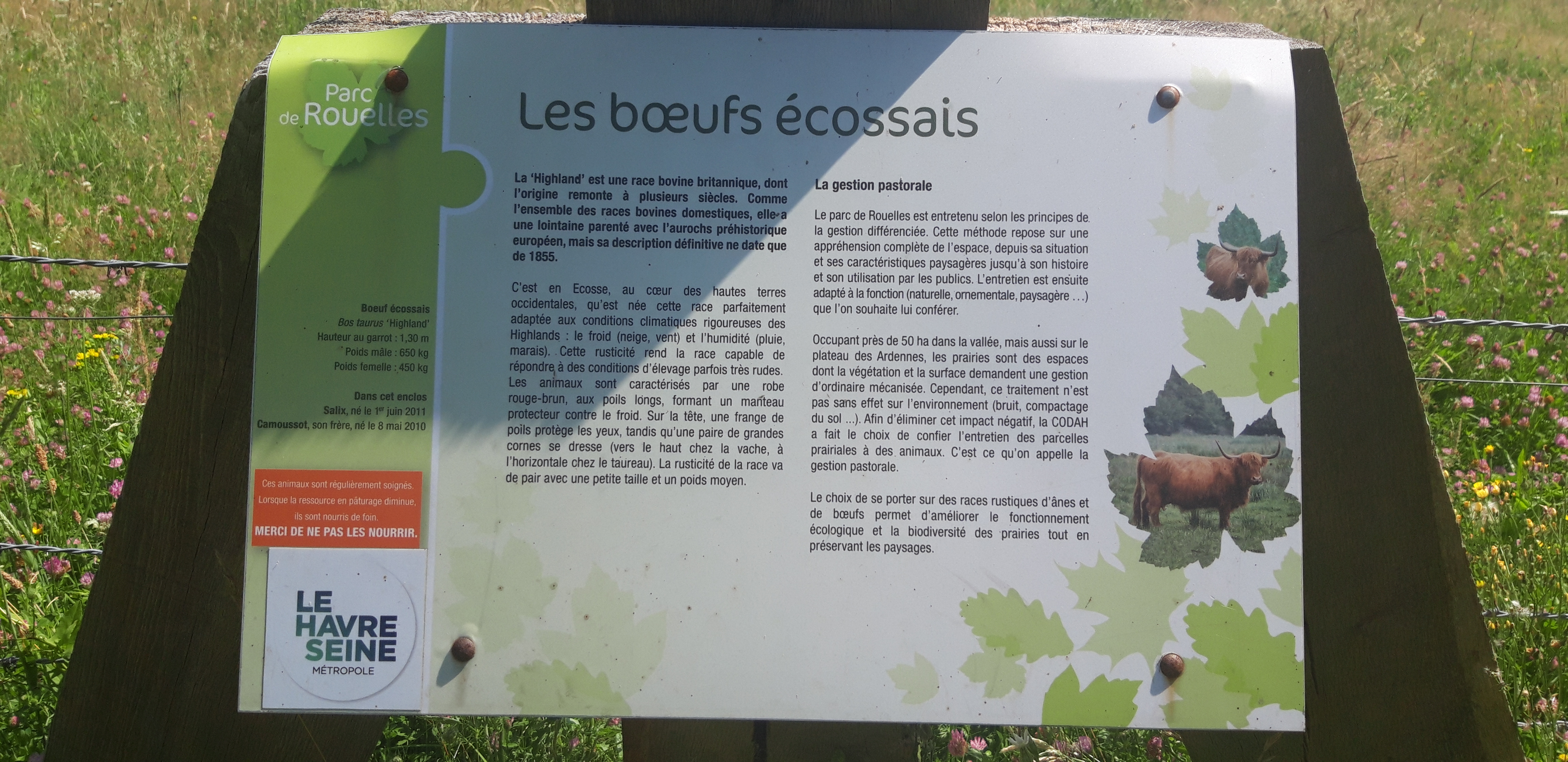 Photo n° 11 de l'avis de Marc.A fait le 20/07/2021 à 16:37