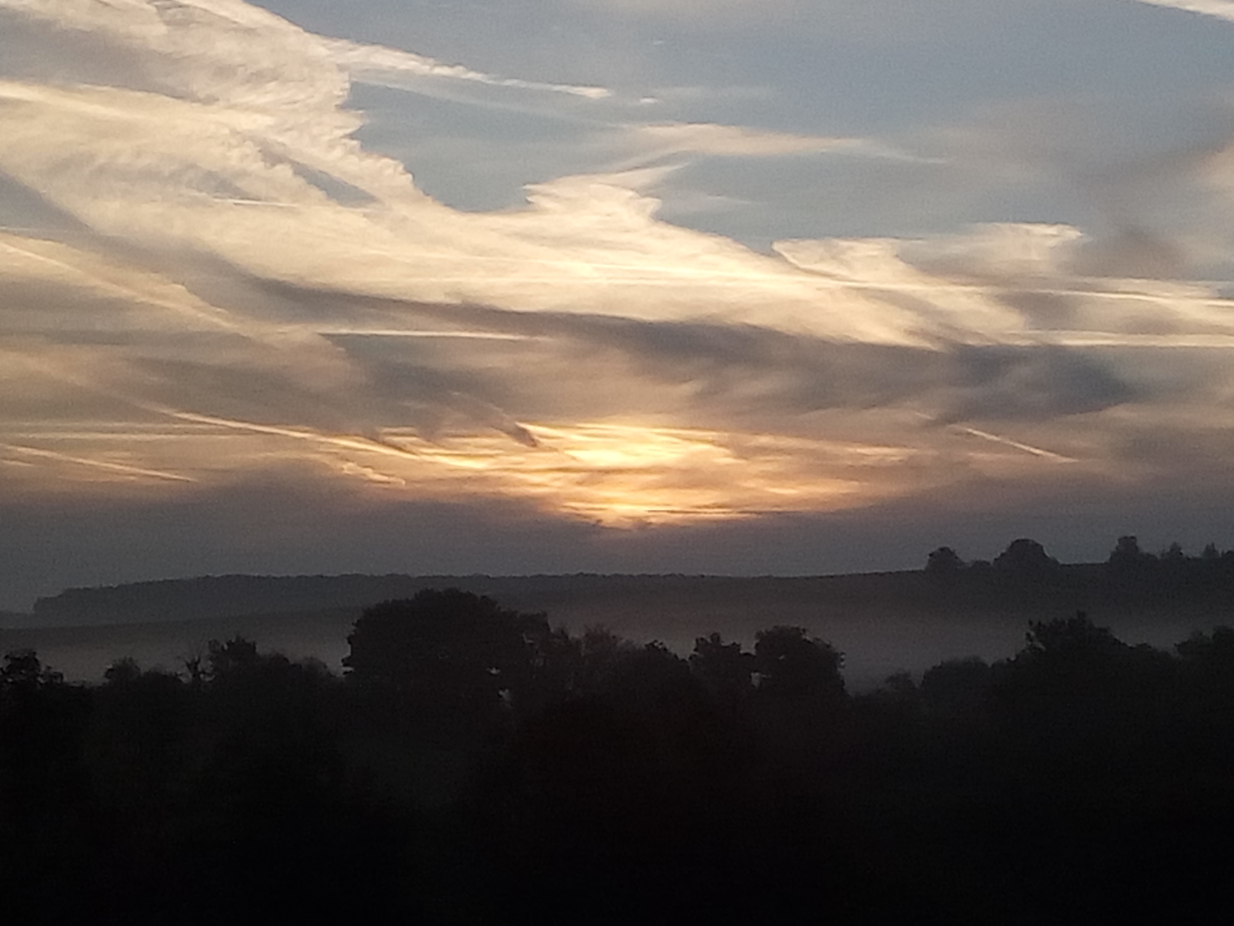 Photo n° 1 de l'avis de Marietta.e fait le 09/10/2017 à 07:23