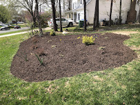 Jr Professional landscaping