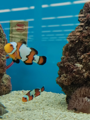 Pet Supply Store «Petco Animal Supplies», reviews and photos, 3000 Gateway St #220, Springfield, OR 97477, USA