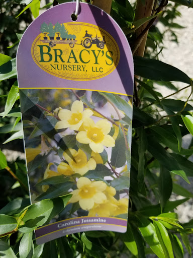 Plant Nursery «Guerin Nursery and Boutique», reviews and photos, 1418 Fall Creek Hwy, Granbury, TX 76049, USA