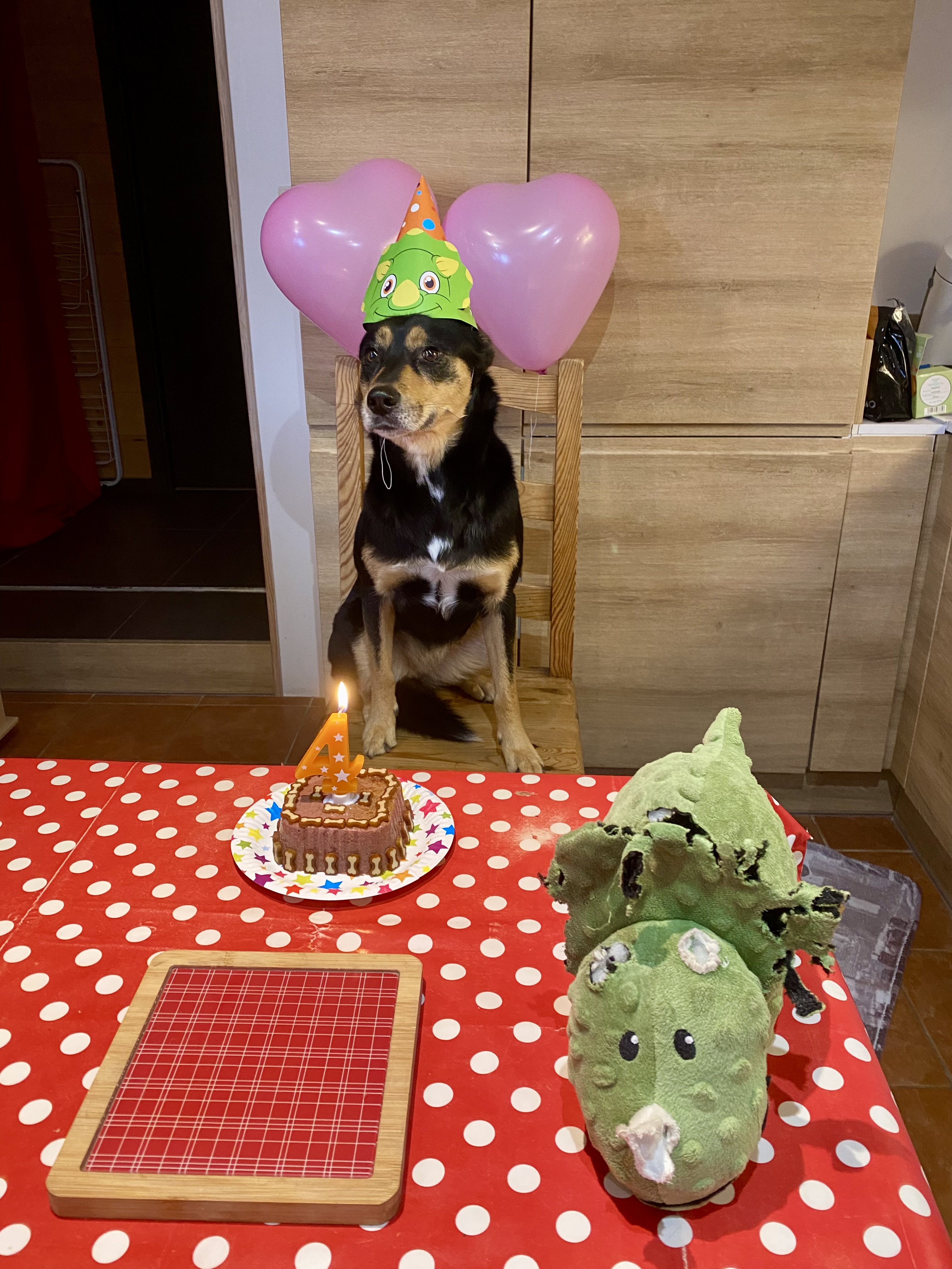 Photo n° 2 de l'avis de Lily.o fait le 18/03/2024 à 16:10