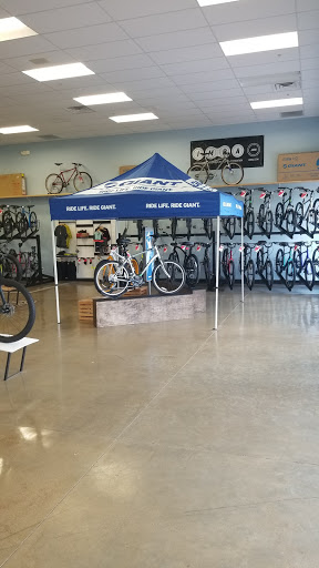 Bicycle Store «Paradise Bicycles», reviews and photos, 9377 6 Mile Cypress Pkwy, Fort Myers, FL 33966, USA