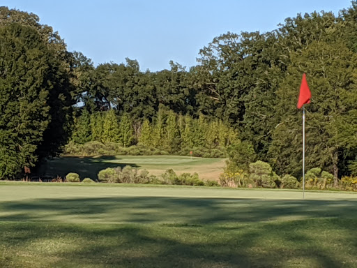 Golf Course «Black Bear Golf Club», reviews and photos, 253 Black bear Dr, Delhi, LA 71232, USA