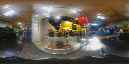 Toy Store «The LEGO Store», reviews and photos, 5900 Sugarloaf Pkwy, Lawrenceville, GA 30043, USA