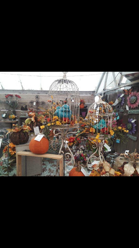 Greenhouse «Ironwood Floral & Greenhouse», reviews and photos, 117 E 20th St, Pueblo, CO 81003, USA