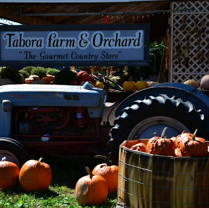 Tabora Farm & Orchard