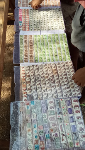 Museum «Money Museum», reviews and photos