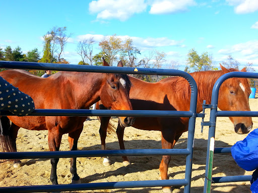 Nature Preserve «Sourland Mountain Preserve», reviews and photos, 421 E Mountain Rd, Hillsborough Township, NJ 08844, USA
