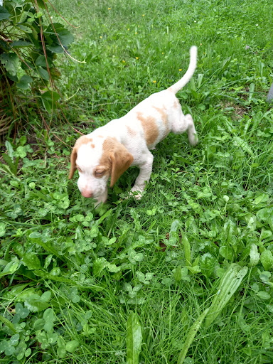 Clínica Veterinaria Moraña en Santa Margarida