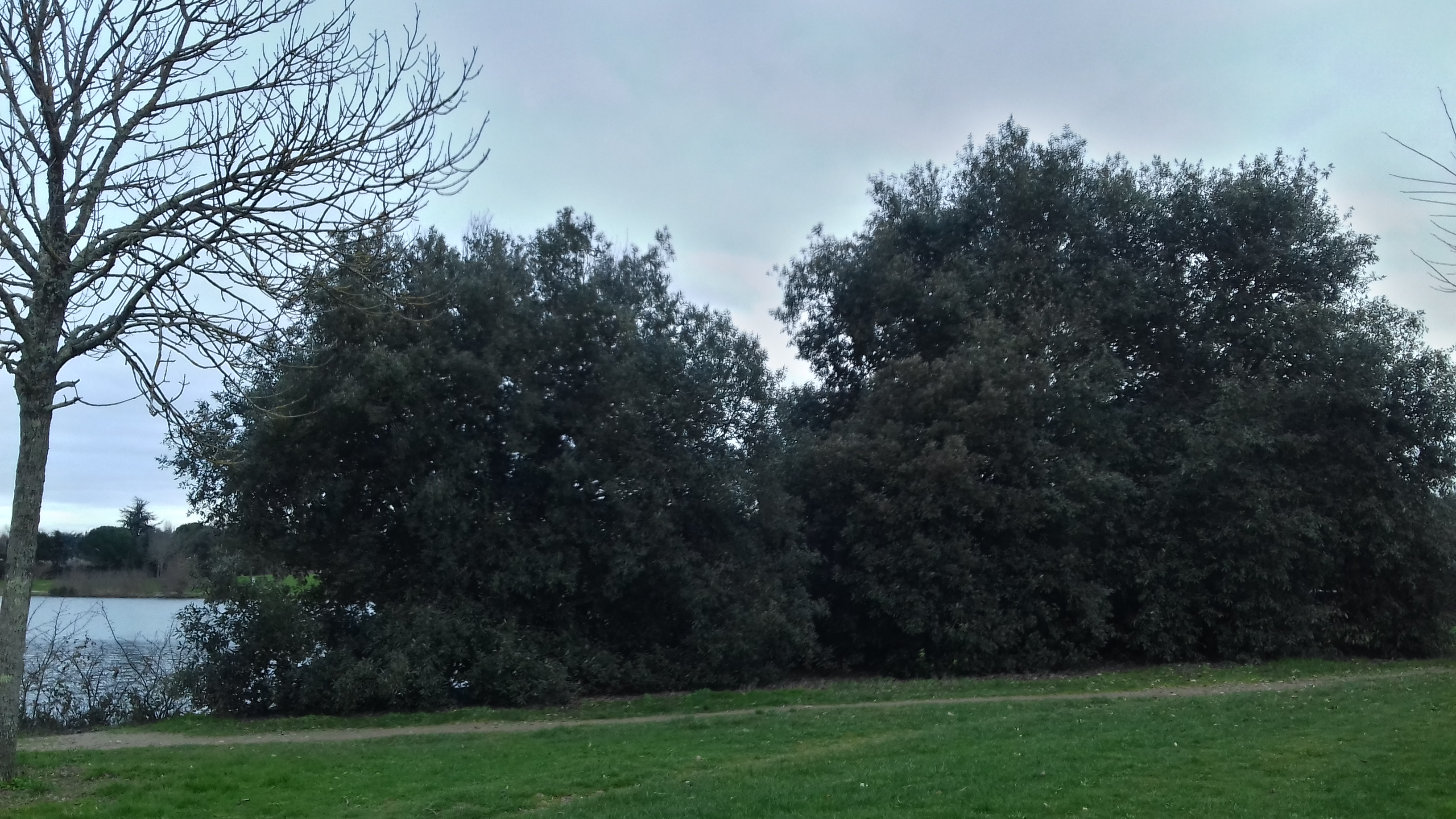 Photo n° 21 de l'avis de José.o fait le 24/11/2019 à 16:24