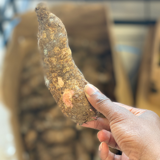 Grocery Store «Nana African Market», reviews and photos, 10223 E Iliff Ave, Denver, CO 80247, USA