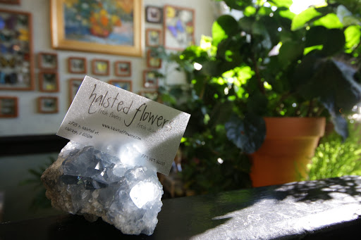 Florist «Halsted Flowers, LLC», reviews and photos, 2725 N Halsted St, Chicago, IL 60614, USA