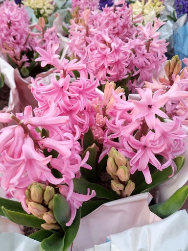 Home Improvement Store «The Home Depot», reviews and photos, 9615 Diamond Centre Dr, Mentor, OH 44060, USA