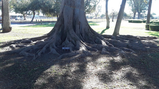 Park «Neff Park», reviews and photos, 14300 San Cristobal Dr, La Mirada, CA 90638, USA