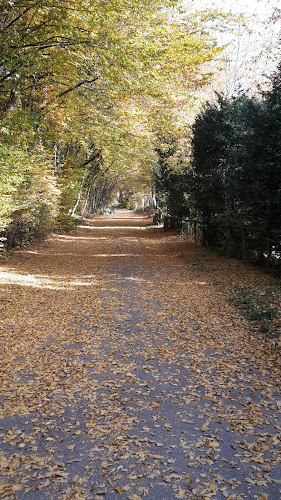 Art du Jardin Zbinden SA - Freiburg