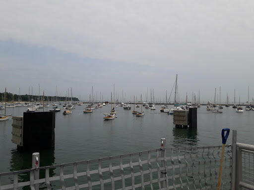 Clothing Store «Vineyard Vines», reviews and photos, 56 Narragansett Ave, Oak Bluffs, MA 02557, USA