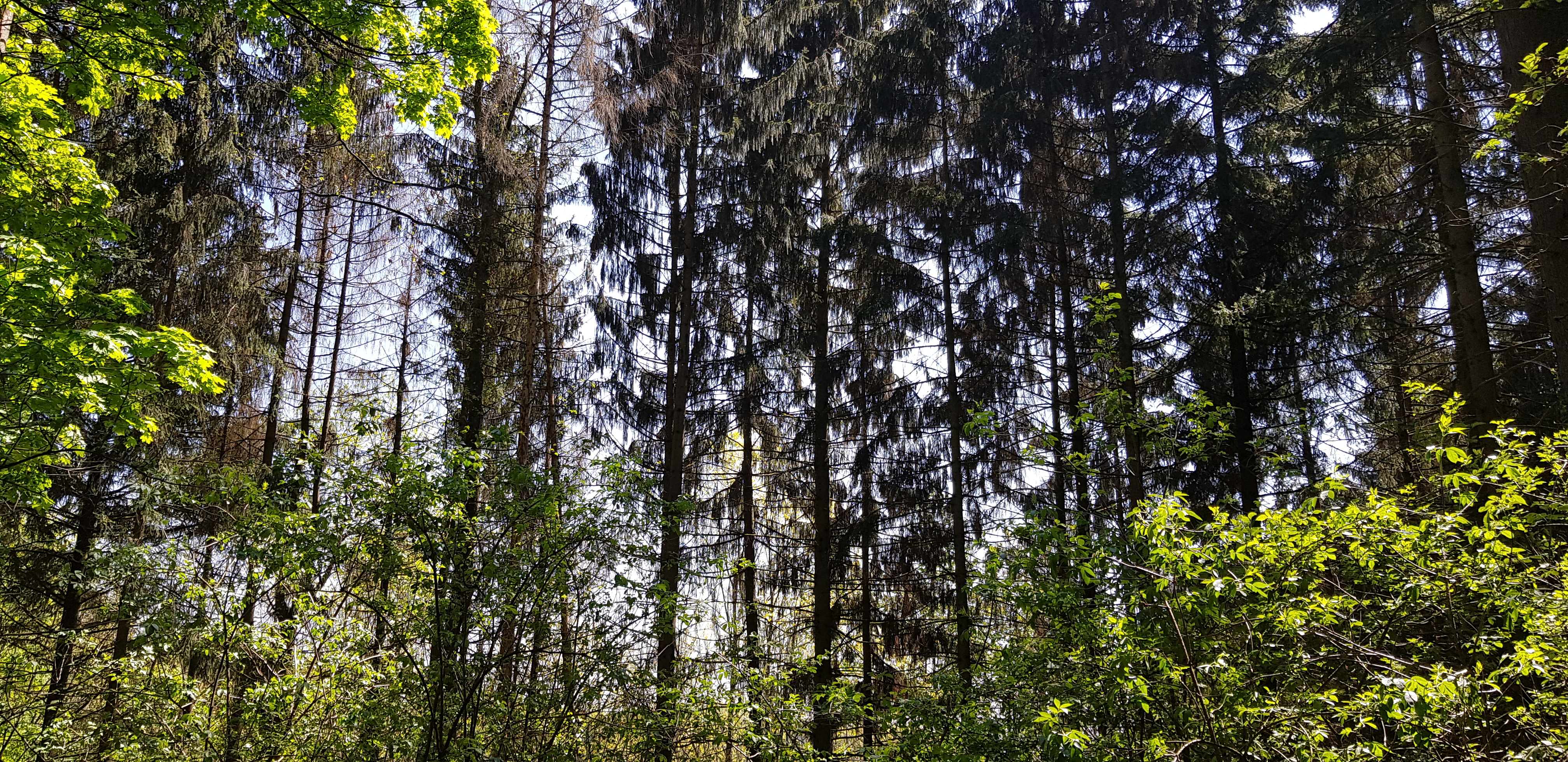 Photo n° 17 de l'avis de Celine.V fait le 02/05/2019 à 07:27