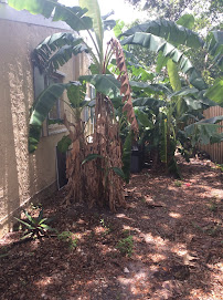 New Age Property Maintenance - Photo 9 - Car repair in Hollywood, FL, Miami