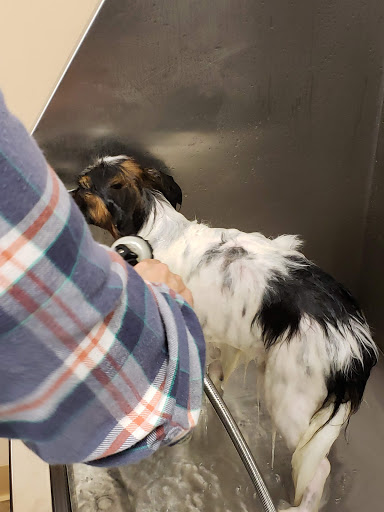 Pet Supply Store «Lemos Feed & Pet Supply», reviews and photos, 1320 Main St, Morro Bay, CA 93442, USA