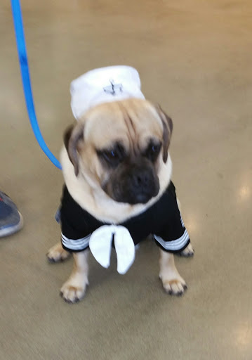 Pet Supply Store «Petco Animal Supplies», reviews and photos, 1011 University Blvd #100, Suffolk, VA 23435, USA