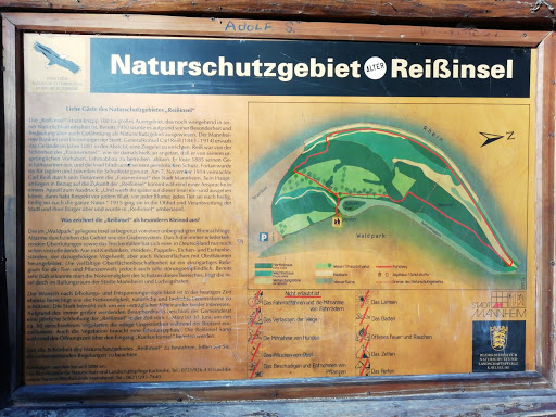 Reißinsel