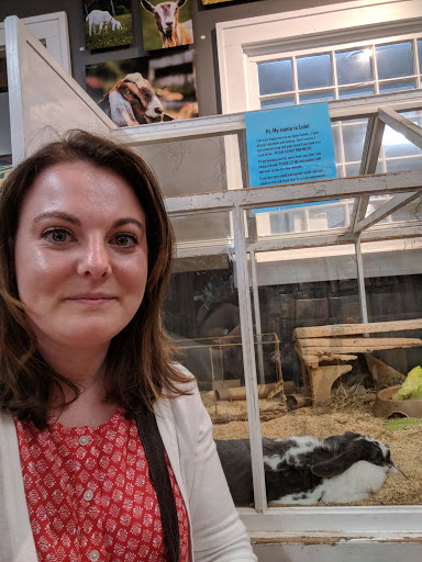 Gift Shop «The Wrinkled Egg», reviews and photos, 2710 NC-225, Flat Rock, NC 28731, USA