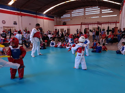 INSTITUTO AUTóNOMO DE TAEKWONDO