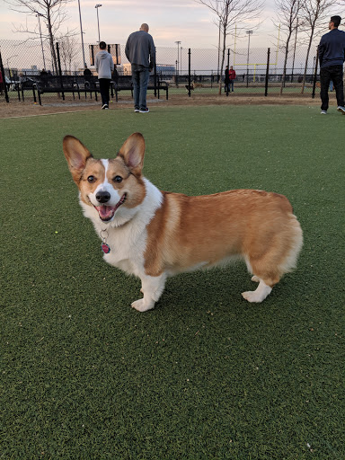 Dog Park «Bay Park Dog Park», reviews and photos, 2 Marjorie Ln, East Rockaway, NY 11518, USA