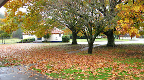 Kawerau South School