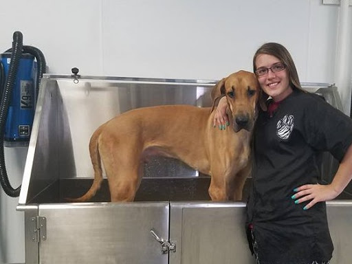 Unique Boutique Pet Grooming Salon