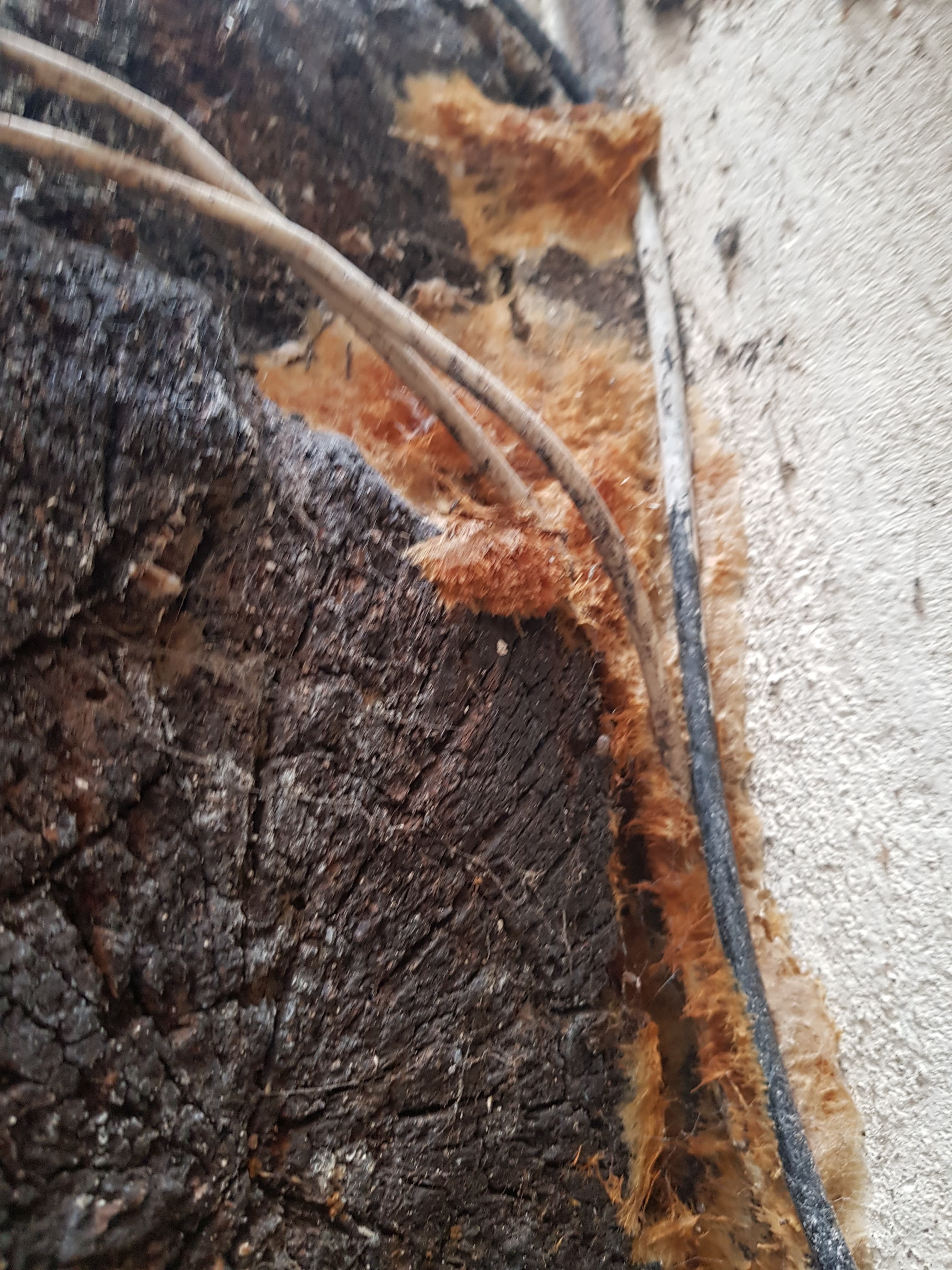 Photo n° 5 de l'avis de Jérémy.e fait le 20/05/2019 à 20:46