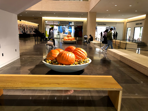 Computer Store «Microsoft Store - NorthPark Center», reviews and photos, 8687 N Central Expy #1612, Dallas, TX 75225, USA