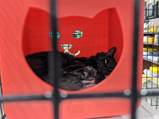 Pet Supply Store «Pet Supermarket, Inc.», reviews and photos, 1052 Peachtree Industrial Blvd, Suwanee, GA 30024, USA