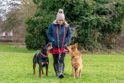 Sarah's Dog Training & Behaviour