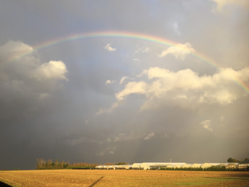 Photo 4 - Champenoux