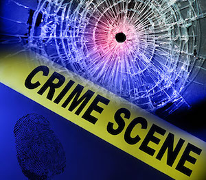 Criminal Justice Attorney «Law Offices of Phillip L. Weinberg», reviews and photos