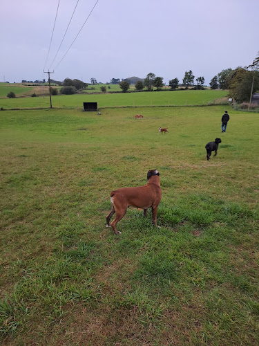 Off The Lead Dog Park - Dog trainer