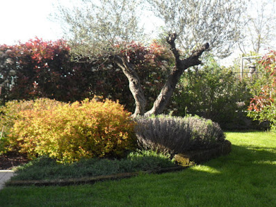 I Giardini di Michele e Damiano Via della Rotonda, 9, 34077 Ronchi dei Legionari GO, Italia