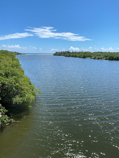 Río Grande De Loiza