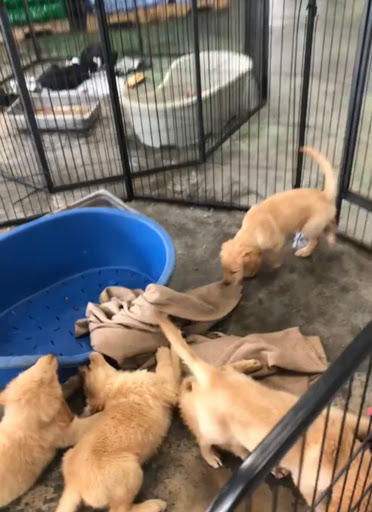 Pet Store «Animart», reviews and photos, 4303 E Towne Way, Madison, WI 53704, USA