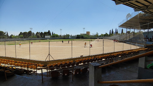 Estadio Manuel L. Almanza