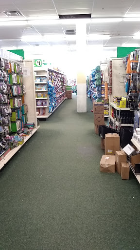 Dollar Store «Dollar Tree», reviews and photos, 221 Gloucester Crossing Rd, Gloucester, MA 01930, USA