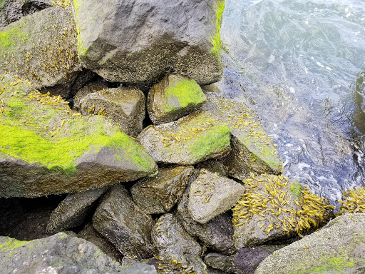 Nature Preserve «Welwyn Preserve», reviews and photos, 100 Crescent Beach Rd, Glen Cove, NY 11542, USA