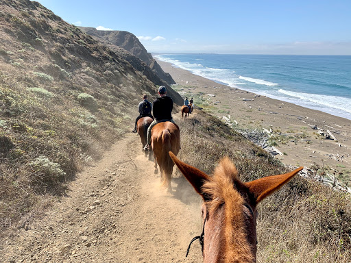 Stable «Ross Ranch», reviews and photos, 28300 Philo Greenwood Rd, Elk, CA 95432, USA