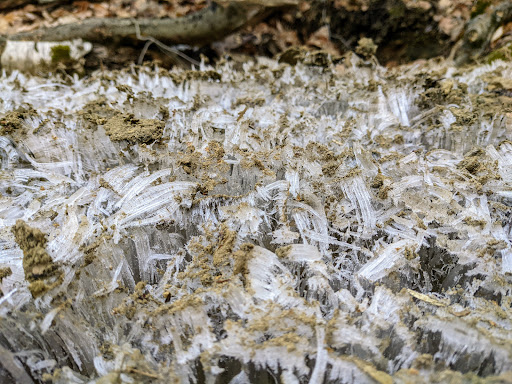 State Park «Wilson Mountain Reservation», reviews and photos, 384 Common St, Dedham, MA 02026, USA