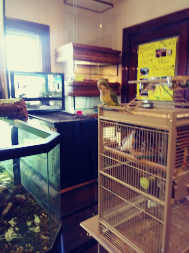 Reptile Store «Pets & Things», reviews and photos, 44825 Van Dyke, Utica, MI 48317, USA